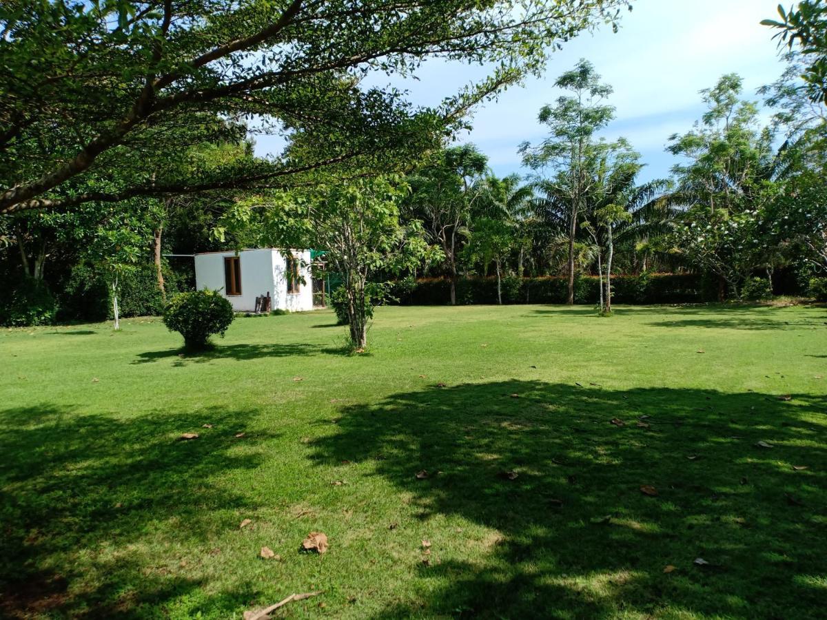Mem Homestay Chumphon Εξωτερικό φωτογραφία